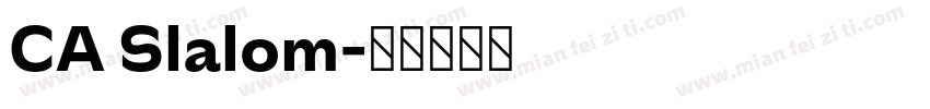 CA Slalom字体转换